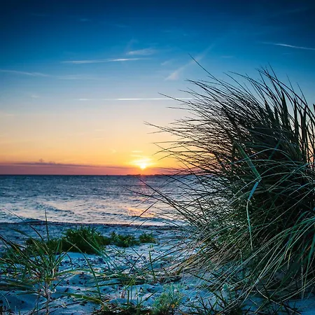 Hausmeercharme Olpenitz